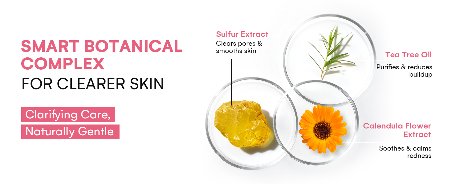 Botanical Ingredients - Part 1